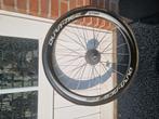 Dura-ace c50 achterwiel, Fietsen en Brommers, Ophalen of Verzenden, Zo goed als nieuw, Racefiets, Wiel