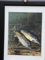 Origineel waterverf schilderij spiegel karpers, Ophalen of Verzenden
