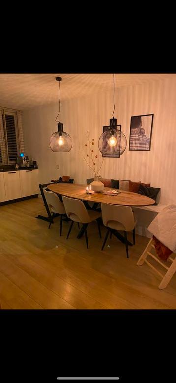 2 eetkamerlampen