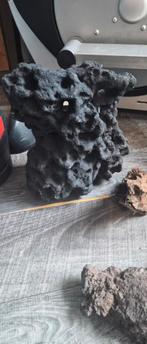 Aquarium decoratie alles in 1 keer kien hout groot stuk, Ophalen