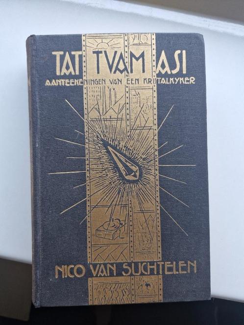 Tat Tvam Asim - Nico van Suchtelen, Boeken, Historische romans, Gelezen, Ophalen of Verzenden