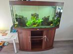 Juwel aquarium compleet, Dieren en Toebehoren, Ophalen, Gebruikt, Gevuld zoetwateraquarium