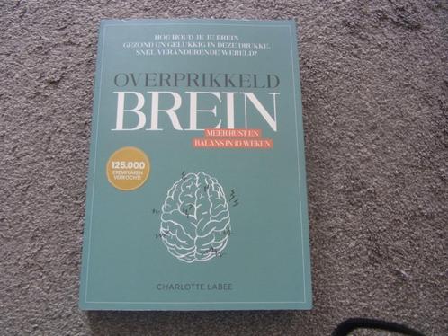 Overprikkeld brein  Charlotte Labee, Boeken, Psychologie, Zo goed als nieuw, Ophalen of Verzenden