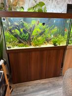 Juwel Rio 350L met kast (Leeg Aquarium), Ophalen, Gebruikt, Leeg aquarium