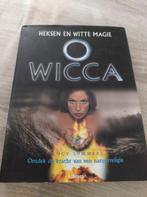 L. Summers - Wicca - heksen en witte magie, Boeken, Ophalen of Verzenden, Zo goed als nieuw, L. Summers, Overige typen