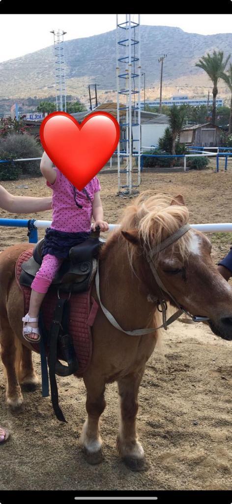 Gezocht lieve verzorgpony / paard, Dieren en Toebehoren, Paarden en Pony's | Verzorgingsproducten, Zo goed als nieuw, Ophalen of Verzenden