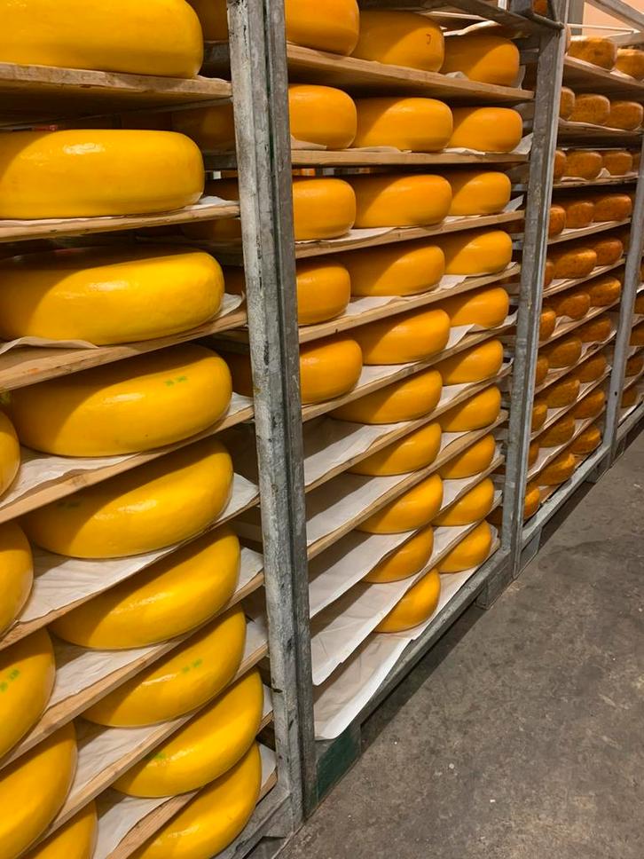 Diverse goudse kazen, Diversen, Levensmiddelen, Ophalen of Verzenden