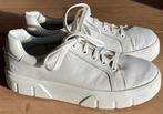 Witte Timberland Sneakers - Maat 39,5, Kleding | Dames, Schoenen, Wit, Ophalen of Verzenden, Timberland, Sneakers of Gympen