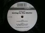 Down Low – Living In The Ghetto. 2003. Pop Rap Hiphop, Ophalen, 2000 tot heden, Zo goed als nieuw, 12 inch