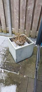 Bloembakken Gratis op te halen, Ophalen of Verzenden