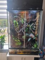 Terrarium met alles er bij sproei instalatie, Dieren en Toebehoren, Reptielen en Amfibieën | Toebehoren, Ophalen of Verzenden