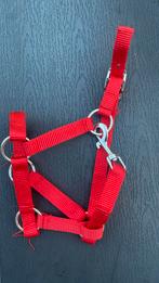 Hobby horse halster rood pipoos, Ophalen, Nieuw