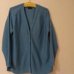 Mooi blauw vest, Ophalen of Verzenden, Zo goed als nieuw, Blauw, Trui of Vest
