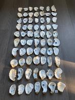 Oesterschelpen, Ophalen of Verzenden, Mineraal