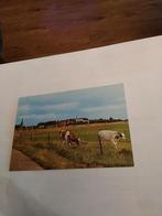 GEZICHT OP MEGEN. N. BR.  1987, Ophalen of Verzenden, 1980 tot heden, Noord-Brabant