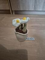 plant knuffel take me home, Ophalen of Verzenden, Zo goed als nieuw, Overige typen