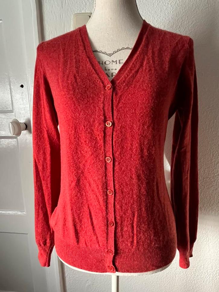 Repeat cashmere, brique kleurig vest, Kleding | Dames, Truien en Vesten, Gedragen, Maat 38/40 (M), Overige kleuren, Ophalen of Verzenden