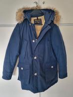 Woolrich Arctic Parka - Maat L, Ophalen of Verzenden, Gedragen, Maat 52/54 (L), Woolrich