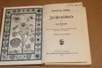 Antieke Tekenschool — Kleur- & Goudplaten [1913], Ophalen of Verzenden, Gelezen