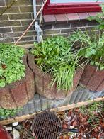 Bloembakken, Ophalen, Steen, Gebruikt, Rond