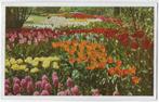 Lisse Keukenhof Oude gelopen Ansichtkaart (B3287 ), Ophalen of Verzenden, Gelopen
