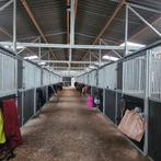 Box met paddock, Weidegang, 1 paard of pony