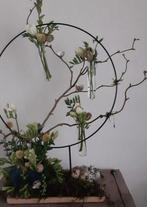 Nieuwe reageer buisjes met kurk kweken planten en hobby, Tuin en Terras, Ophalen of Verzenden, Nieuw