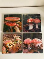 4 schilderijtjes met paddenstoelen - 4 luik, Huis en Inrichting, Minder dan 50 cm, Ophalen of Verzenden, Zo goed als nieuw, Schilderij