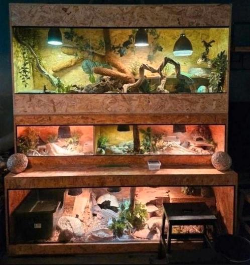 Groot osb terrarium, Dieren en Toebehoren, Reptielen en Amfibieën | Toebehoren, Zo goed als nieuw, Terrarium of Paludarium, Ophalen