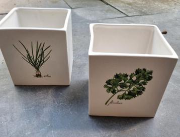Te koop twee vierkante kruiden bloempotten.  beschikbaar voor biedingen