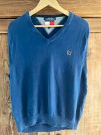 Tommy Hilfiger trui, Kleding | Heren, Truien en Vesten, Ophalen of Verzenden, Zo goed als nieuw