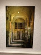 Fotoschilderij 'Morning Glow' van Bas van der Poel, Antiek en Kunst, Ophalen