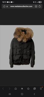 Dsquared2 jas heren met bond gezocht, Kleding | Heren, Ophalen of Verzenden, Zo goed als nieuw, Maat 52/54 (L), Zwart