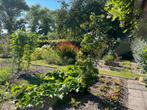 Te Huur Moestuin Naarden 225m2, Ophalen, Gebruikt, Overige typen