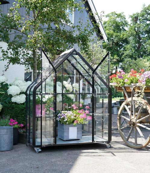 Greenhouse Tuinkas Plantenkas Groentekas Glazen Kas Moestuin, Antiek en Kunst, Curiosa en Brocante, Ophalen of Verzenden
