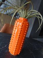 NIEUWE MICA VAAS - vrolijke kleur + trendy voor maar: €11,00, Ophalen, Aardewerk of Porselein, Nieuw, Oranje