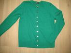 Didi Colorful Basics Pretty Cardigan Vest Groen, Kleding | Dames, Nieuw, Groen, Maat 38/40 (M), Ophalen of Verzenden