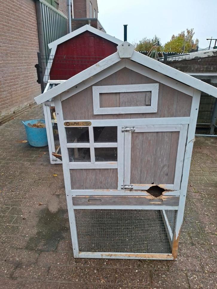 Konijnenhok en ren, Dieren en Toebehoren, Pluimvee | Toebehoren, Kippenhok of Kippenren, Ophalen