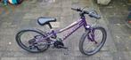 Specialized Hotrock 20 inch kinderfiets, Ophalen, Gebruikt, Specialized