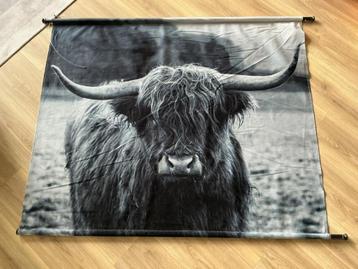 wanddoek / textielposter Schotse hooglander beschikbaar voor biedingen