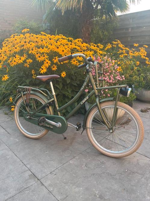 Meisjesfiets 20 inch Loekie metallic groen, Fietsen en Brommers, Fietsen | Meisjes, Zo goed als nieuw, 20 inch, Ophalen