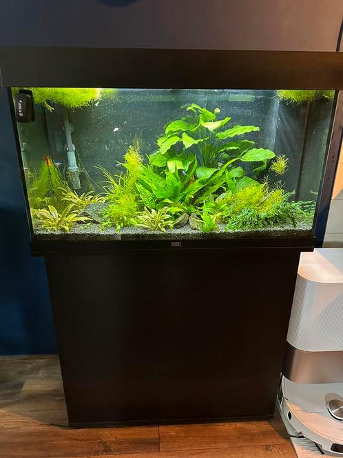 Aqaurium rio 125 liter, Dieren en Toebehoren, Vissen | Aquaria en Toebehoren, Zo goed als nieuw, Gevuld zoetwateraquarium, Ophalen