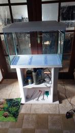 Superfish Start 100 met Oase Filtosmart Thermo 100, Ophalen, Leeg aquarium
