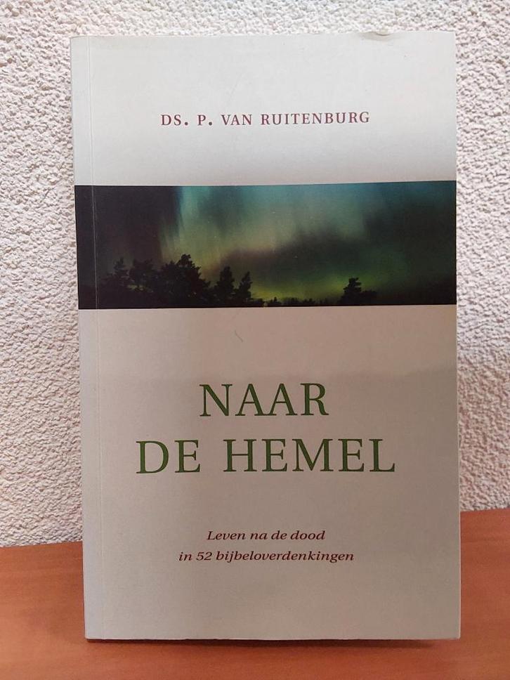 Ruitenburg, ds.P. van - Diverse boeken a € 1,50 per stuk, Boeken, Godsdienst en Theologie, Gelezen, Christendom | Protestants