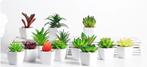 Kunst Vetplant Met Pot Nep Rode Gele Groene Vet Planten, Verzenden, Nieuw