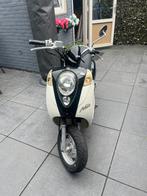 Sym Mio 50 (snel), Gebruikt, Benzine, 50 cc, Maximaal 25 km/u