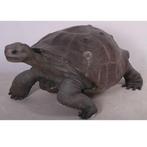 Galapagos Tortoise – Schildpad beeld Lengte 154 cm, Ophalen, Nieuw, Overige soorten, Overige typen