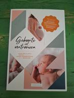Geboorte vol vertrouwen - vivian vietje, Ophalen of Verzenden, Zo goed als nieuw, Zwangerschap en Bevalling