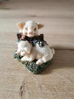 Varkens in de wei, Ophalen of Verzenden, Zo goed als nieuw, Dier