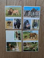 Vintage Esso dierenstickers, Ophalen of Verzenden, Gebruikt, Sticker